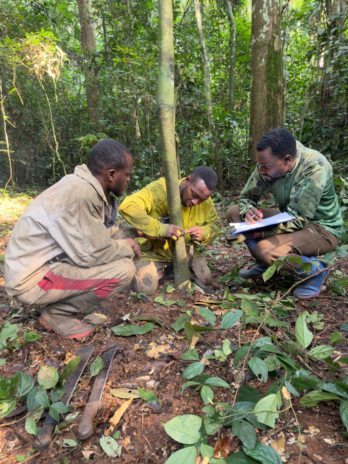 BA field team installing monitoring equipment