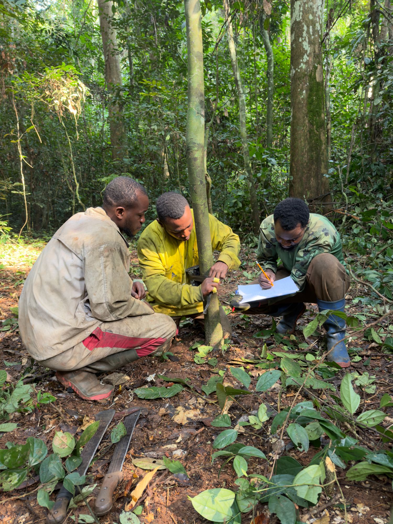 Biodiversity Action field team installing a camera trap