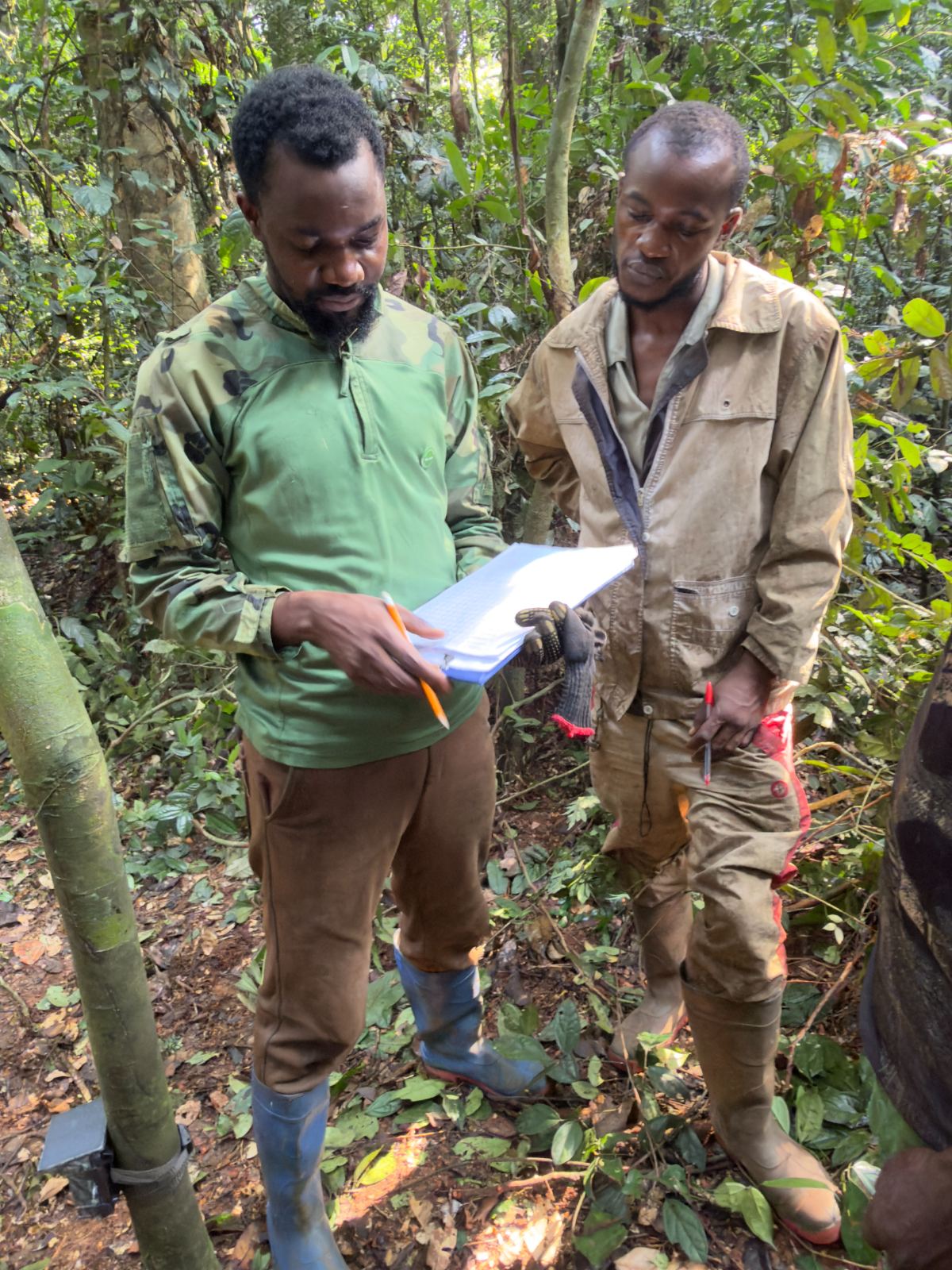 Field officers recording survey data