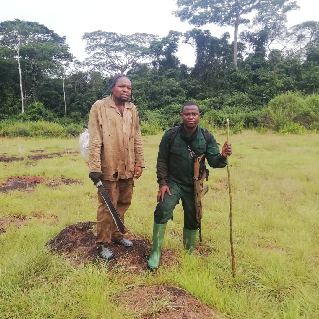 Field officer and eco-guard on a forest clearing