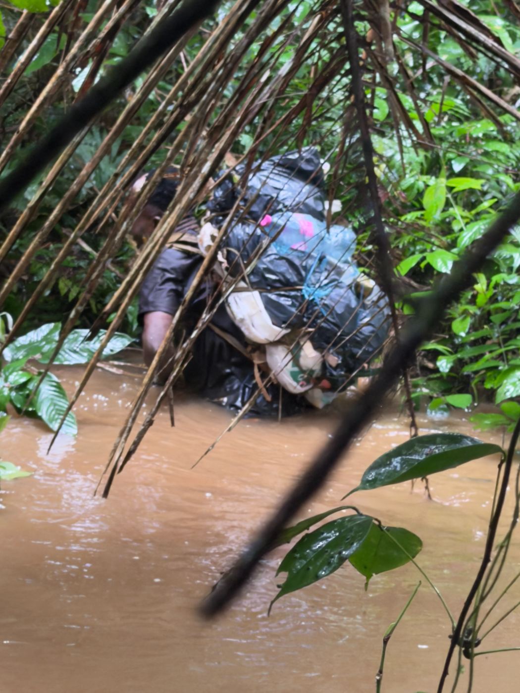 Field officer crossing a swollen forest river