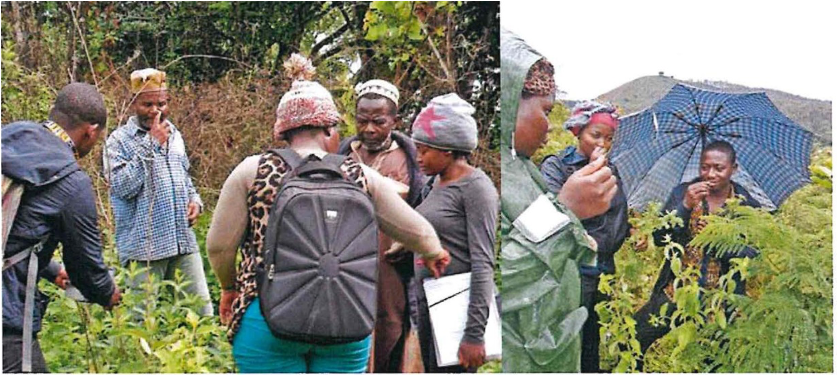 Women and community members during a field plant survey