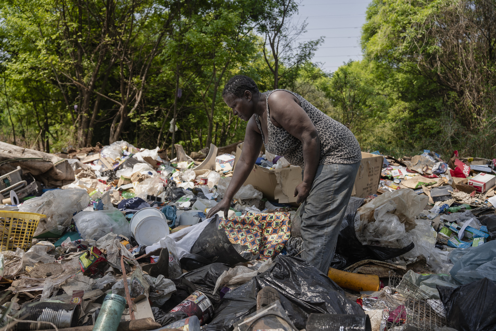 The Impact of Plastic Pollution on Ecology