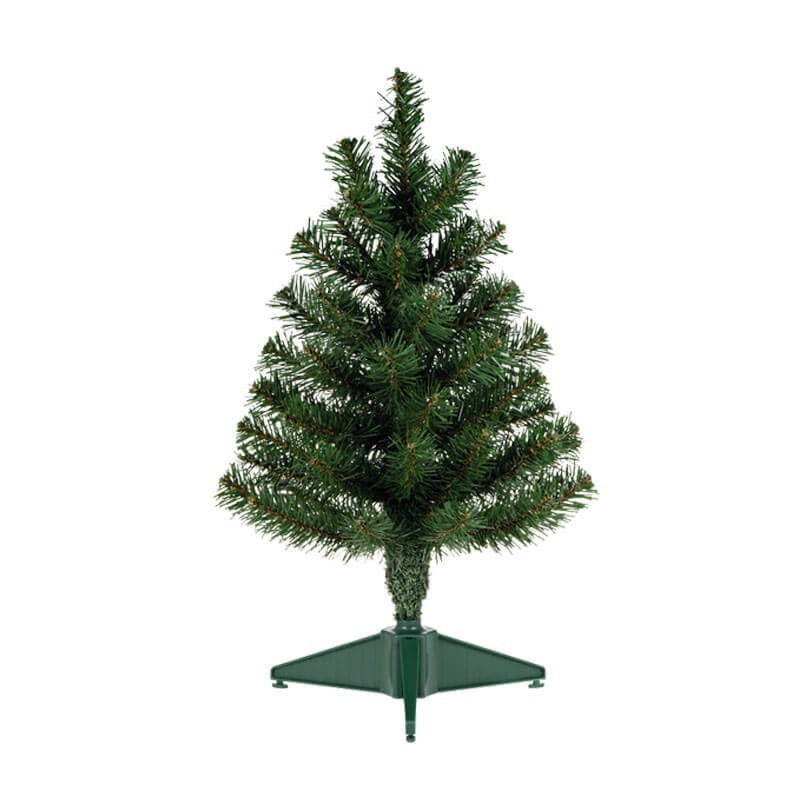 Tree Coniferous - Image 3