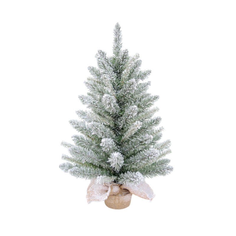 Tree Coniferous - Image 2
